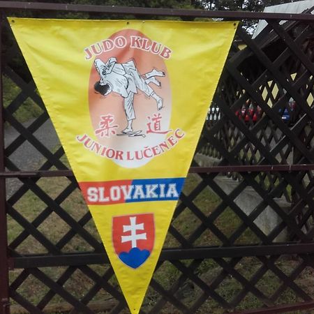 Turisticka Ubytovna Hotel Divín Exteriör bild