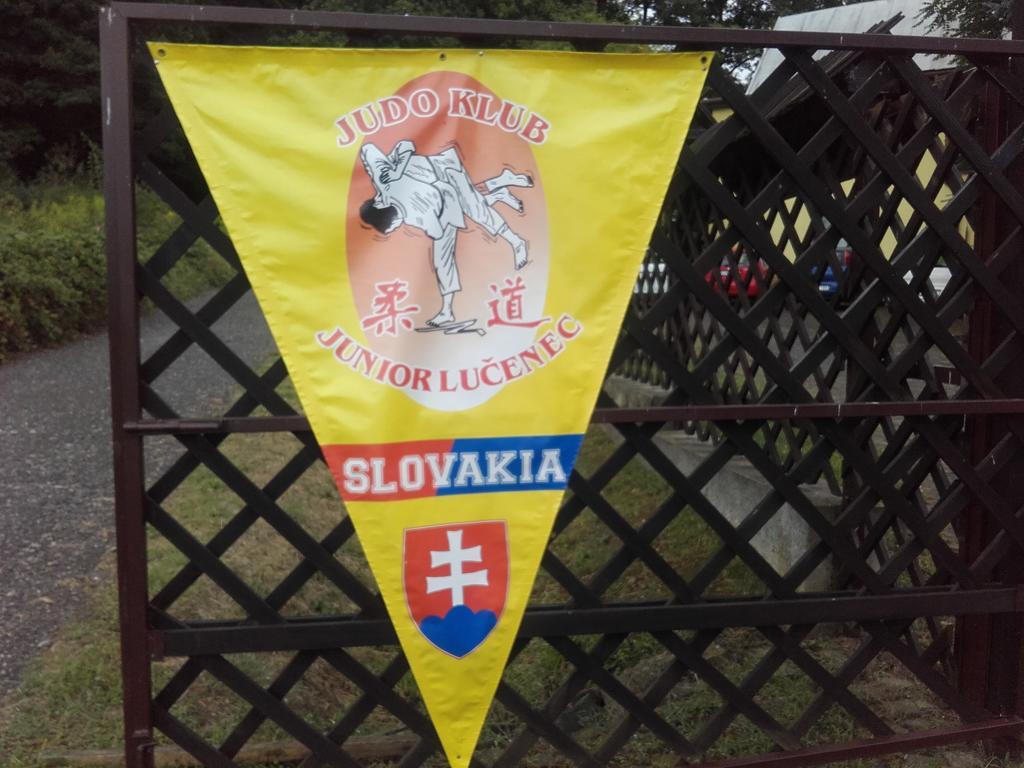 Turisticka Ubytovna Hotel Divín Exteriör bild